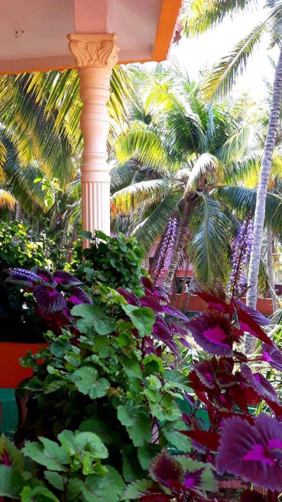 Apartmán Thriphala Ayurveda Yogashram Thiruvananthapuram Exteriér fotografie